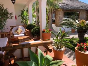 Vonkajšia záhrada v ubytovaní Hostal Casa Arco Iris (Playa)