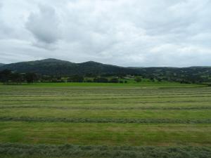 a large field of grass with mountains in the background at The Groes Inn in Conwy