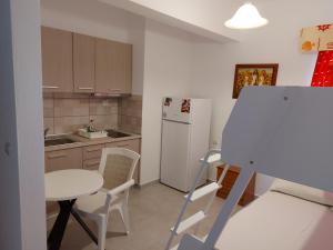 Kuchyň nebo kuchyňský kout v ubytování Apocalypsis Studios-Apartments