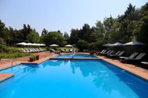 a large blue swimming pool with lounge chairs and umbrellas at La Posta del Pilar Hotel & Spa in Pilar