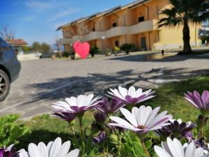 a group of purple and white flowers in front of a building at Conca Degli Dei in Paestum