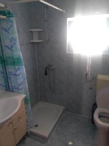 a bathroom with a shower with a sink and a toilet at Denis Bolanča in Primošten +9 photos