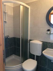 een badkamer met een toilet, een douche en een wastafel bij Rooms with shared kitchen "Milica" in Drvenik