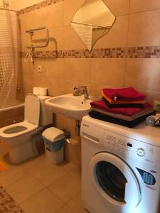 a bathroom with a washing machine and a sink at Saulkrastu nams in Zvejniekciems +8 photos