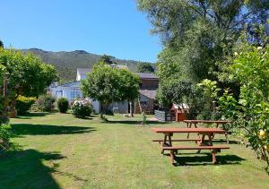 a picnic table in a yard with trees and houses at Casa Elena Turismo Rural in Reinante +37 photos