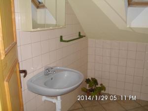 a bathroom with a sink and a mirror at Petrovický mlýn in Kasanice