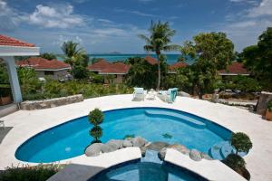 a swimming pool in the middle of a house at BLUE LAGOON in Virgin Gorda
