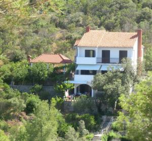 una casa blanca en una colina con árboles en Seafront rural big house at Solta Croacia island, en Nečujam