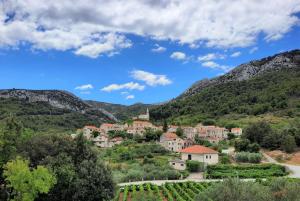 Galeriebild der Unterkunft Apartments Pitve in Jelsa + 121 Fotos