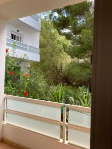 a window view of a garden from a balcony at Hotel Roca Plana in Es Pujols