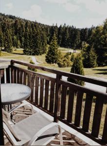 Příroda nedaleko apartmánu