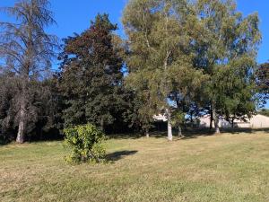 Foto dalla galleria di Spacieuse maison dans un parc privée a Vareilles