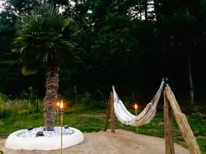 Vonkajšia záhrada v ubytovaní Palma de Masuria Ekskluzywny Dom na wyłączność