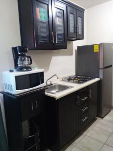 a kitchen with a microwave and a sink at Canela Apartment, Pet friendly in Puerto Peñasco