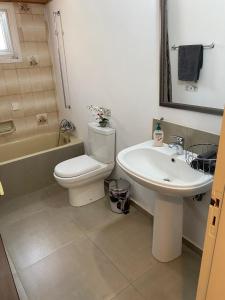 La salle de bains est pourvue de toilettes blanches et d'un lavabo. dans l'établissement City Comfortable Apartment, à Larnaka
