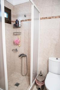 a bathroom with a shower with a toilet at Eirinis House in Possidi