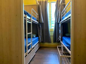 Mumma's Hostel Cairns客房内的一张或多张双层床