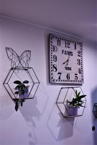 Fotografie z fotogalerie ubytování Apartman Patricia v destinaci Fužine
