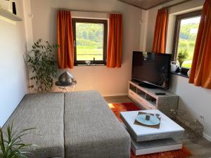 TV a/nebo společenská místnost v ubytování Ferienwohnung Auenblick