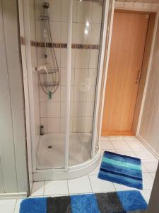 een douche in een badkamer met een blauw tapijt bij Ferienwohnung Bongartz in Einbeck