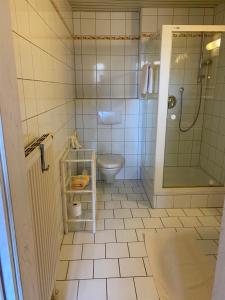 ein Bad mit einem WC und einer Dusche in der Unterkunft Altstadthotel Wilde Rose in Eppingen