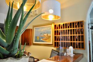 une plante en pot assise sur une table dans une pièce dans l'établissement Hotel Corallo Garnì, à Cattolica