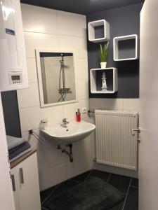 un baño con lavabo y espejo en Wohlfühlen in der Altstadt von Steyr, en Steyr