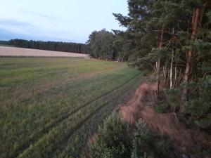 Fotografia z galérie ubytovania Wiktorówka v destinácii Torzym