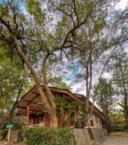 a house in the woods with a tree at New Green Sentul Resort in Bogor