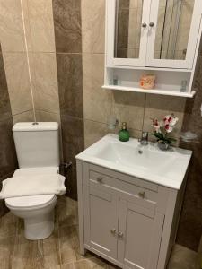 a bathroom with a white sink and a toilet at Apartment Zdravets in Veliko Tŭrnovo