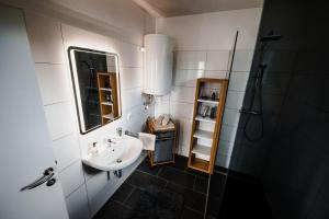 łazienka z umywalką i prysznicem w obiekcie Design-Appartement Steyr w mieście Steyr