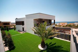 a house with a palm tree in the yard at Villa Estate in Novalja