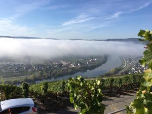 Fotografie z fotogalerie ubytování Ferienwohnung Bergblick v destinaci Trittenheim