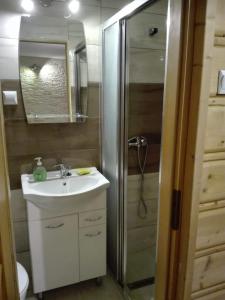 a bathroom with a sink and a shower at Pokoje i apartamenty u Bartka in Szczawnica
