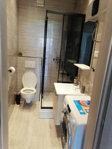a small bathroom with a toilet and a shower at Apartment Red Rose in Kaštela