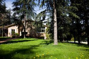 una casa con un árbol en un campo de hierba en B&B Mama Rò, en Cesena