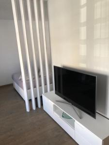 TV a/nebo společenská místnost v ubytování Bürgemeister Apartment