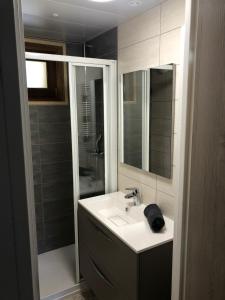 La salle de bains est pourvue d'un lavabo et d'une douche. dans l'établissement VVF Les Écrins Saint-Léger-les-Mélèzes, à Saint-Léger-les-Mélèzes
