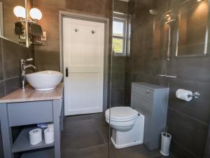 ein Badezimmer mit Toilette, Waschbecken und Dusche in der Unterkunft Harbour Cottage in Boscastle + 16 Fotos