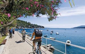 Gallery image of Room Sandra in Rabac