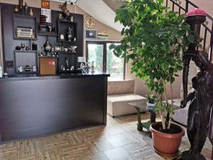 ein Zimmer mit einer Theke und einer Topfpflanze in der Unterkunft Hotel My House in Kardschali