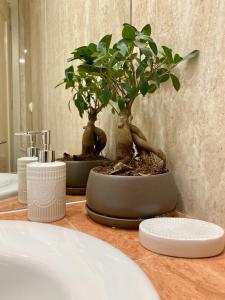 a bathroom with two bonsai trees on a counter at AR apartment in Platanidia