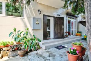 a front door of a house with potted plants at Hotel Hollywood in Lazarevskoye