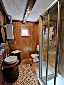 a bathroom with a glass shower and a toilet at Apartment Slavonska Kuća in Pleternica