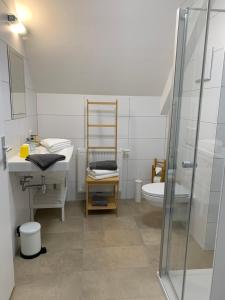 a bathroom with a shower and a sink and a toilet at Steira-Studios in Ehrenhausen