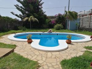 a swimming pool with two potted plants in a yard at Finca Los Álamos in Breña Baja