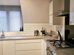 Кухня або міні-кухня у Switchback Stays Marina Apartments