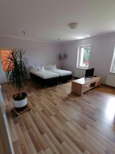 a room with a bed and a desk and a laptop at Apartment U Panorámy in Jáchymov