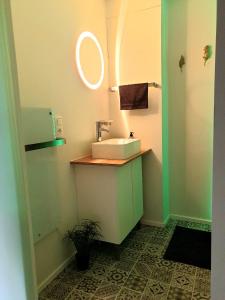 een badkamer met een wastafel en een spiegel bij Studio Het Begijntje Tongeren in Tongeren