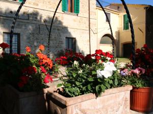 A garden outside Farmhouse in Umbria near Lake Trasimeno